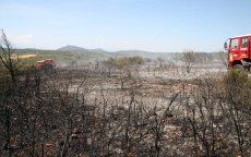 Ruim 12 hectare bos door brand verwoest in Al Hoceima