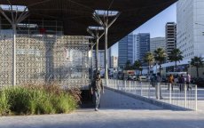 Algerijnse zakenman: « Algerije staat 20 jaar achter Marokko »