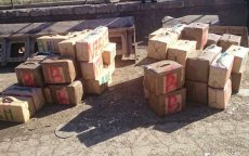 Agadir: politie onderschept 15 ton drugs