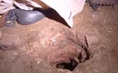 Drie doden na val in tarwereserve in Benslimane (video)