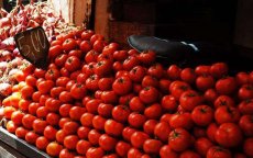 Sterke stijging export Marokkaanse fruit en groenten naar Rusland
