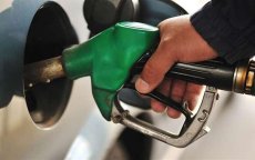 Marokkaanse import aardolie daalt met 31%