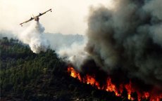 Grote bosbrand in Mdiq (video)