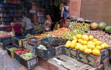 IMF verwacht voor 2017 economische groei van 4,8% in Marokko