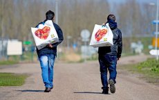 Nederland gaat vertrekpremie voor Marokkanen schrappen