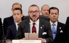 Koning Mohammed VI lanceert milieuprijs van miljoen dollar