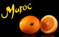 Rusland blokkeert invoer Marokkaanse citrusvruchten
