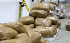 Zeven ton drugs onderschept in zuid-Marokkaanse Guerguerat