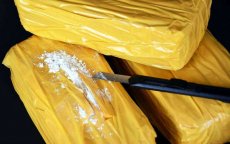 Marokkaanse Nederlanders gearresteerd voor cocaïnehandel in Nador