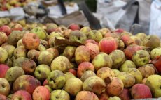 Tonnen fruit beschadigd door slecht weer in Marokko (video)