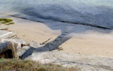 Bezorgdheid om vervuiling strand Mohammedia (video)