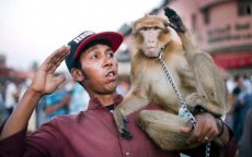 Toerist door aap aangevallen op Djemaa El Fna plein Marrakech
