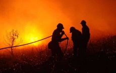 Gigantische brand in Bouskkour bos bij Al Hoceima
