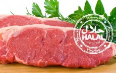 Halal vlees binnenkort verboden in Zwitserland?