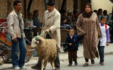Rijkere en meer opgeleide Marokkanen vieren minder Eid ul-Fitr 