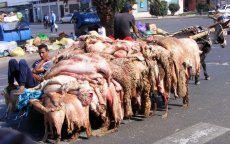 Eid ul-Adha: grote schoonmaakoperatie in Casablanca na feest (video)