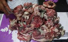 Voedsel- en Warenautoriteit Marokko: resultaten analyses blauw schapenvlees bekend