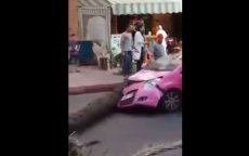 Man in Marokko hakt palmboom om en verplettert auto (video)