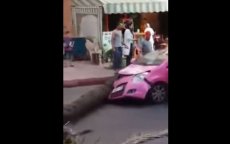 Man in Marokko hakt palmboom om en verplettert auto (video)