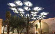 Zonnebomen in Marrakech om telefoons op te laden