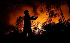Portugal vraagt hulp aan Marokko om bosbranden te bestrijden