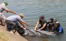 Lichaam uit zee gevist voor kust Mdiq
