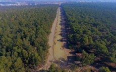 Marokko: heraanleg Bouskoura bos vanuit de lucht gezien (video)
