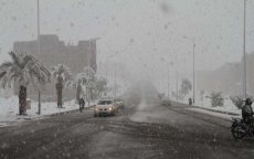 Beelden van Zagora, Ouarzazate en Taroudant onder laag sneeuw