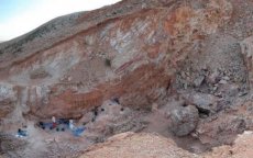 Resten van zeldzame dinosaurus ontdekt in Tiznit