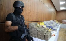 Ruim half ton cocaïne onderschept in Marokkaanse haven