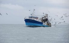Marokkaanse kustwacht onderschept Turkse vissersboot in Dakhla