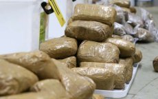 Casablanca: twee broers betrapt met ruim 600 kilo drugs