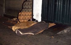 Seriemoordenaar daklozen in Agadir is ex-militair