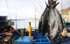 Polisario bedreigt Europese vissersboten voor kust Dakhla