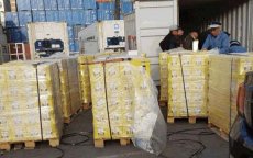 Marokko: 280 kilo drugs in dozen fruitsap gevonden