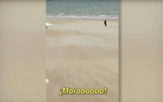 Melilla: onderzoek naar racistische uitspraken agent tegen Marokkaan (video)