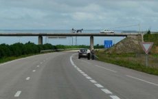 Nieuwe snelweg tussen Nador en Guercif in project