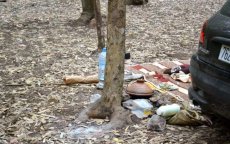 Bouskoura bos, geliefde plek bij picknickers (video)