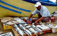 Jongeren opgepakt voor vernielen vislading in Tetouan (video)