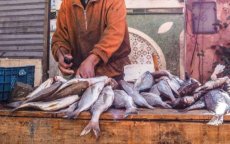 Ruim 300 kilo bedorven voedsel in beslag genomen in Taounate