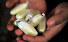 Tiener in Tetouan opgepakt met heroïne