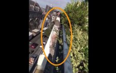 Mohamed redt vrouw die van 5e verdieping wil springen in Frankrijk (video)