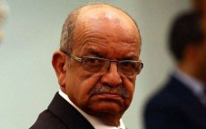 Algerije neemt aan onderhandelingen over Sahara in Genève deel