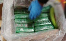  Wereld-Marokkaan met 10 kilo cocaïne gepakt in Nador