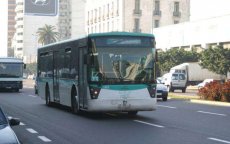 Casablanca koopt 350 nieuwe bussen