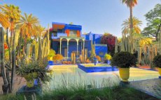 Marokko: Majorelletuin Marrakech meest bezochte culturele attractie