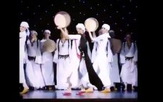Ierse vrouwen dansen Ahidous (video)
