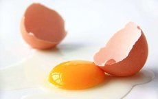Marokko produceerde 6,6 miljard eieren in 2018