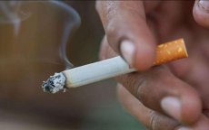 Zwitserland verkoopt giftigere tabak aan Marokkanen