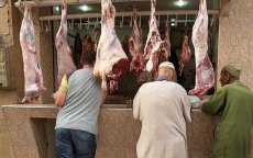 Melilla wil invoer schapen uit Marokko verbieden